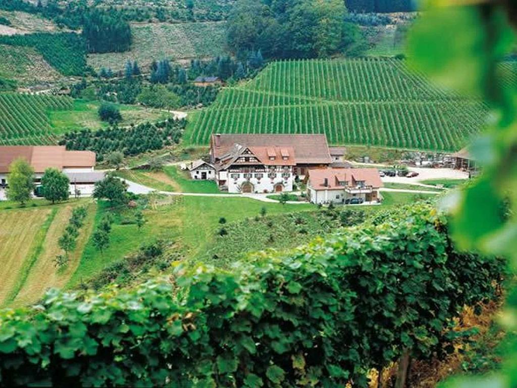 杜尔巴赫Weingut Alfred Huber公寓 外观 照片